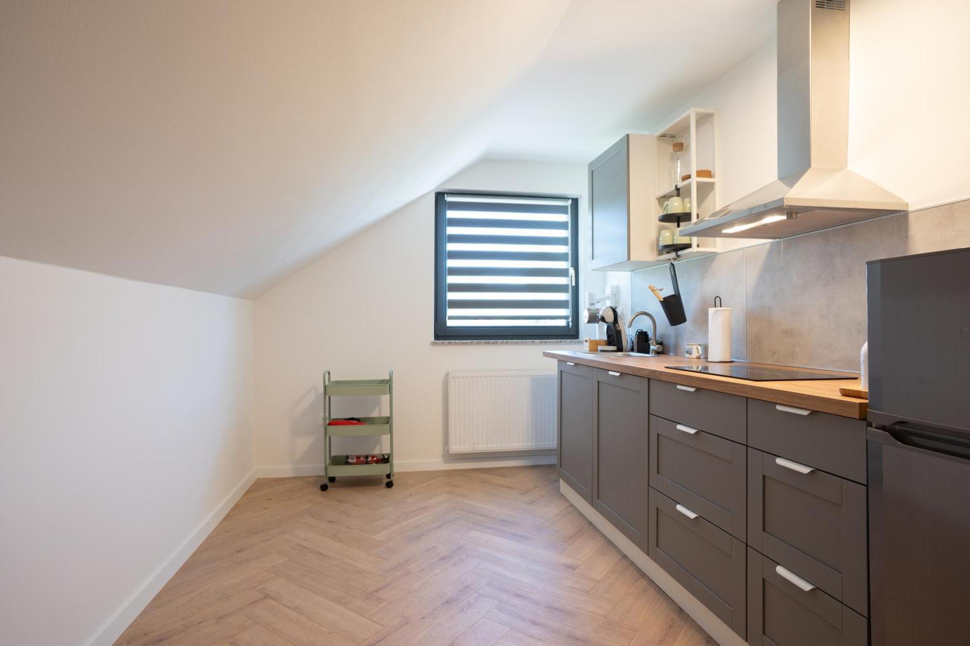 Apartment Lux Loft