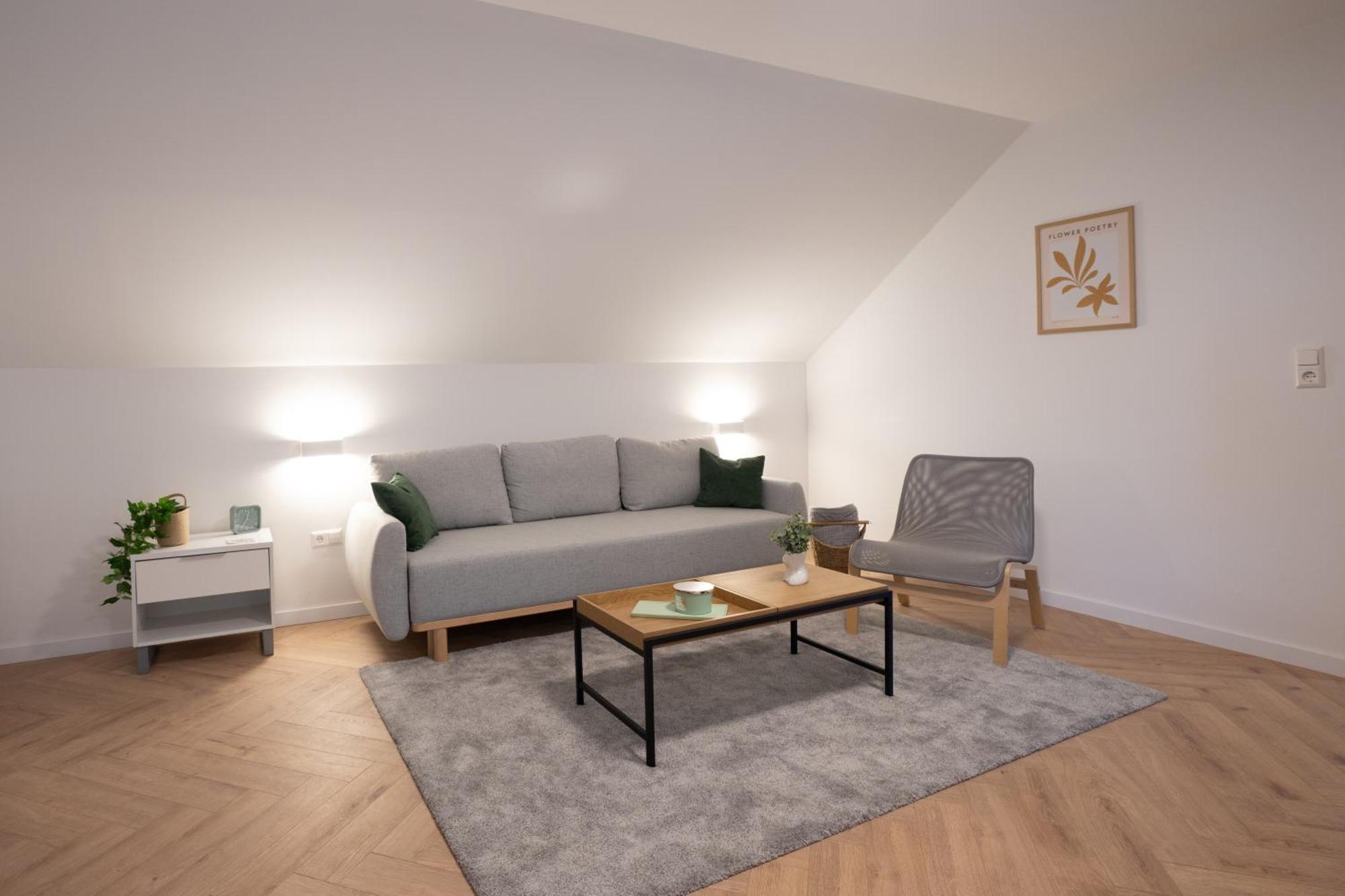 Apartment Lux Loft